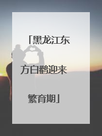 黑龙江东方白鹳迎来繁育期