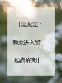黑龙江：狮虎进入繁殖高峰期