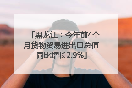 黑龙江：今年前4个月货物贸易进出口总值同比增长2.9%
