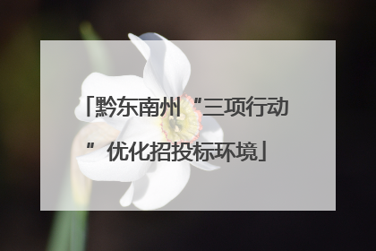 黔东南州“三项行动”优化招投标环境