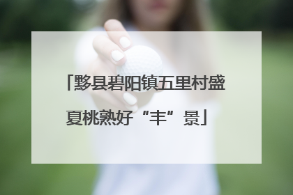 黟县碧阳镇五里村盛夏桃熟好“丰”景