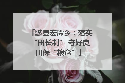黟县宏潭乡：落实“田长制” 守好良田保“粮仓”