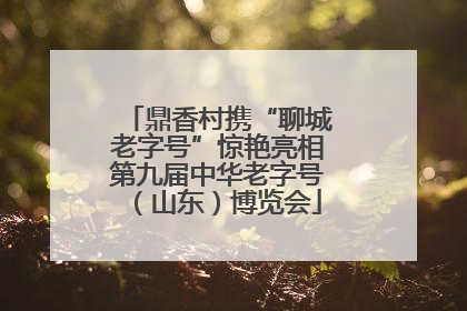 鼎香村携“聊城老字号”惊艳亮相第九届中华老字号（山东）博览会