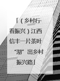 （乡村行·看振兴）江西信丰一片茶叶“沏”出乡村振兴路
