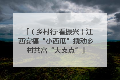 （乡村行·看振兴）江西安福“小西瓜”撬动乡村共富“大支点”