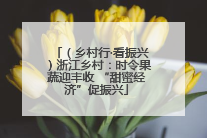 （乡村行·看振兴）浙江乡村：时令果蔬迎丰收 “甜蜜经济”促振兴