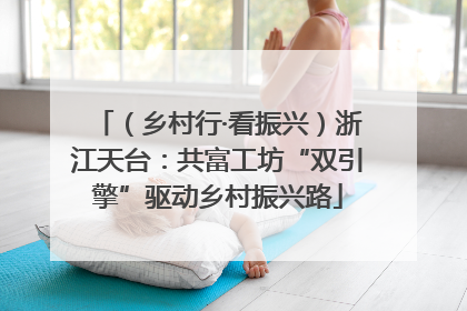 （乡村行·看振兴）浙江天台：共富工坊“双引擎”驱动乡村振兴路
