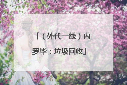 （外代一线）内罗毕：垃圾回收
