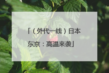 （外代一线）日本东京：高温来袭