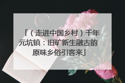 （走进中国乡村）千年元坑镇：旧矿新生融古韵 原味乡俗引客来
