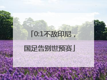 0:1不敌印尼，国足告别世预赛