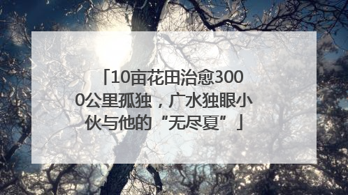 10亩花田治愈3000公里孤独，广水独眼小伙与他的“无尽夏”