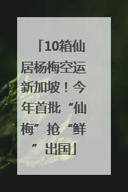 10箱仙居杨梅空运新加坡！今年首批“仙梅”抢“鲜”出国