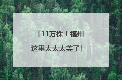 11万株！福州这里太太太美了