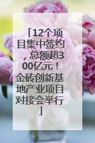 12个项目集中签约，总额超300亿元！金砖创新基地产业项目对接会举行