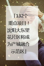 132个重点项目！沈阳大东望花片区将成为产城融合示范区