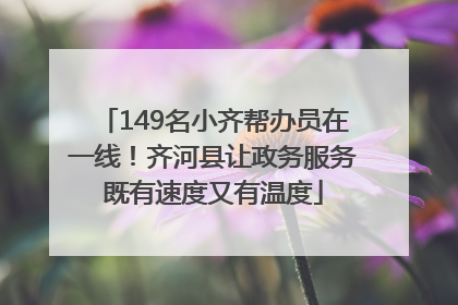 149名小齐帮办员在一线！齐河县让政务服务既有速度又有温度