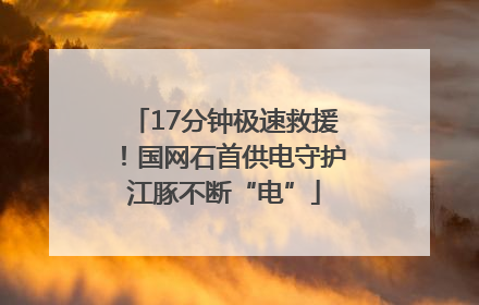 17分钟极速救援！国网石首供电守护江豚不断“电”