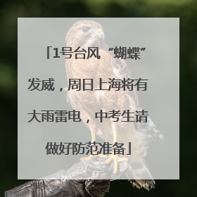 1号台风“蝴蝶”发威，周日上海将有大雨雷电，中考生请做好防范准备