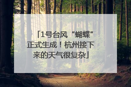 1号台风“蝴蝶”正式生成！杭州接下来的天气很复杂