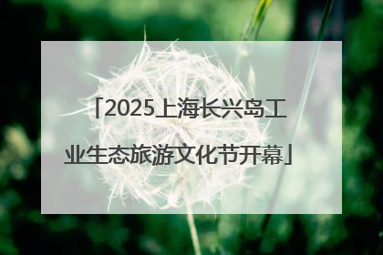 2025上海长兴岛工业生态旅游文化节开幕