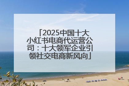 2025中国十大小红书电商代运营公司：十大领军企业引领社交电商新风向