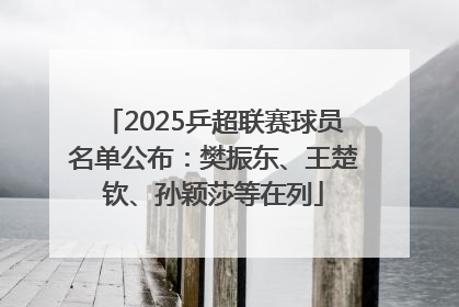 2025乒超联赛球员名单公布：樊振东、王楚钦、孙颖莎等在列