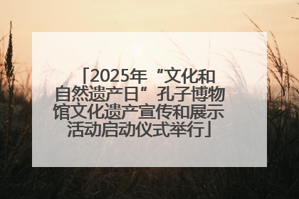 2025年“文化和自然遗产日”孔子博物馆文化遗产宣传和展示活动启动仪式举行