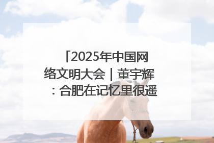 2025年中国网络文明大会｜董宇辉：合肥在记忆里很遥远也很亲切