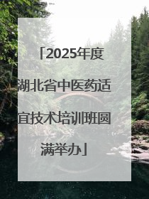 2025年度湖北省中医药适宜技术培训班圆满举办