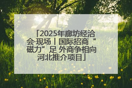 2025年廊坊经洽会·现场丨国际招商“磁力”足 外商争相向河北推介项目