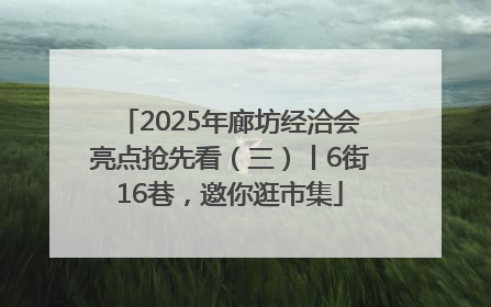 2025年廊坊经洽会亮点抢先看（三）丨6街16巷，邀你逛市集
