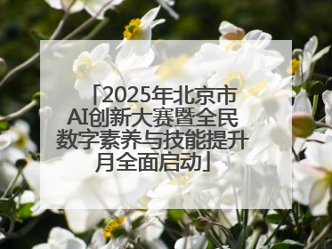2025年北京市AI创新大赛暨全民数字素养与技能提升月全面启动