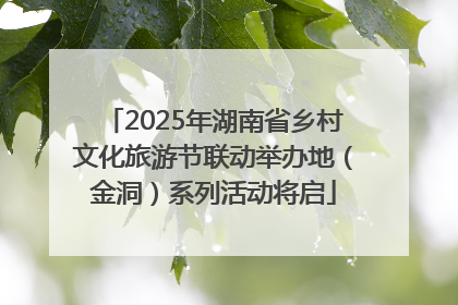 2025年湖南省乡村文化旅游节联动举办地（金洞）系列活动将启