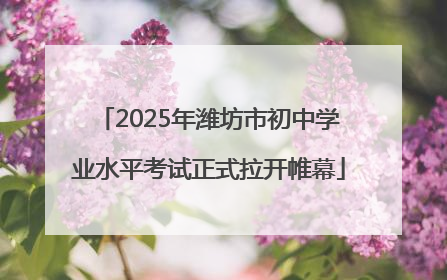 2025年潍坊市初中学业水平考试正式拉开帷幕