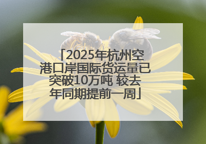 2025年杭州空港口岸国际货运量已突破10万吨 较去年同期提前一周