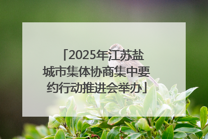 2025年江苏盐城市集体协商集中要约行动推进会举办