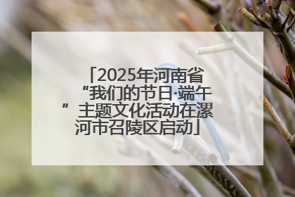 2025年河南省“我们的节日·端午”主题文化活动在漯河市召陵区启动