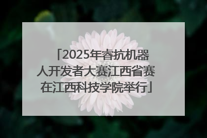 2025年睿抗机器人开发者大赛江西省赛在江西科技学院举行