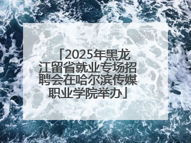 2025年黑龙江留省就业专场招聘会在哈尔滨传媒职业学院举办