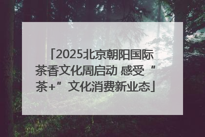 2025北京朝阳国际茶香文化周启动 感受“茶+”文化消费新业态