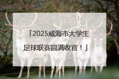 2025威海市大学生足球联赛圆满收官！