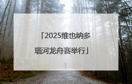 2025维也纳多瑙河龙舟赛举行