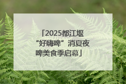 2025都江堰“好嗨啤”消夏夜啤美食季启幕