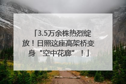 3.5万余株热烈绽放！日照这座高架桥变身“空中花廊”！