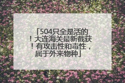 504只全是活的！大连海关最新截获！有攻击性和毒性，属于外来物种