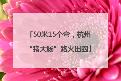 50米15个弯，杭州“猪大肠”路火出圈