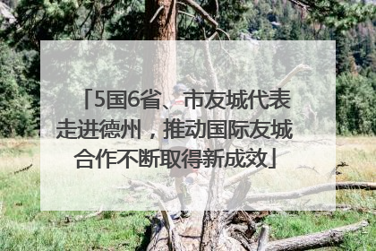 5国6省、市友城代表走进德州，推动国际友城合作不断取得新成效