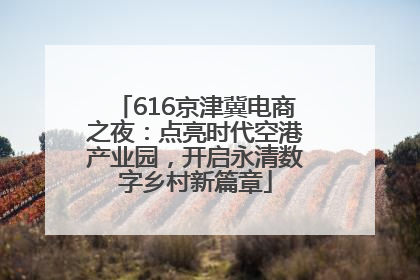 616京津冀电商之夜：点亮时代空港产业园，开启永清数字乡村新篇章