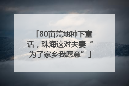 80亩荒地种下童话,珠海这对夫妻“为了家乡我愿意”